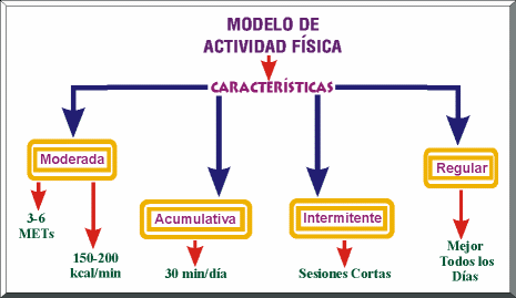 MODELO DE ACTIVIDAD FÍSICA