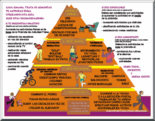 PIRMIDE DE ACTIVIDAD FSICA