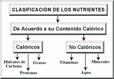 CLASIFICACIÓN DE LOS NUTRIENTES