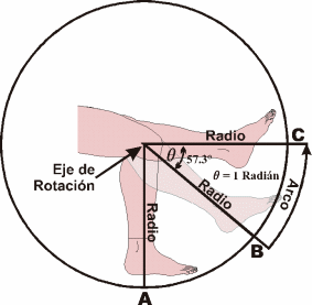 MEDIDAS ANGULARES