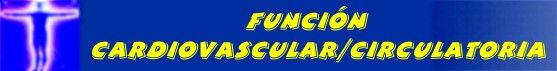 FUNCION CARDIOVASCULAR/CIRCULATORIA