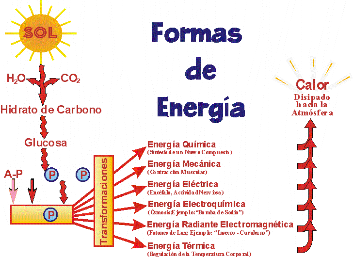 FUENTES DE ENERGIA: © 2000 Edgar Lopategui Corsino