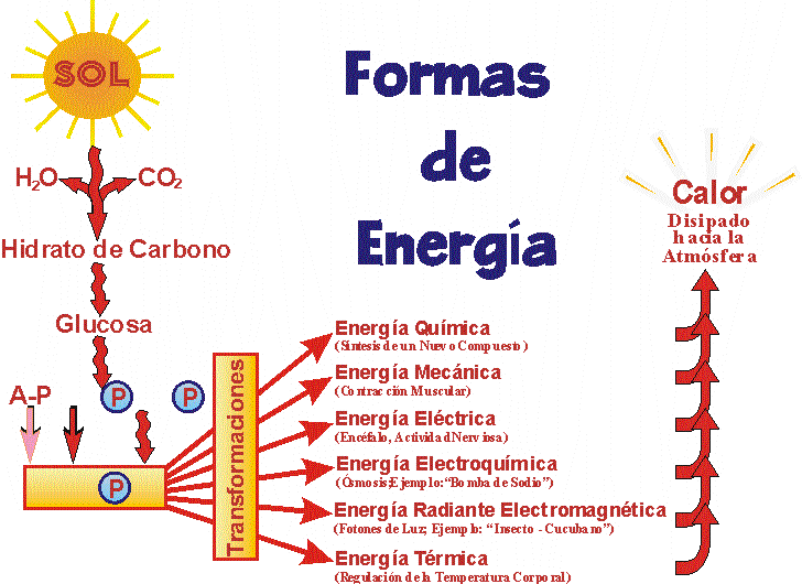 FORMAS DE ENERGA