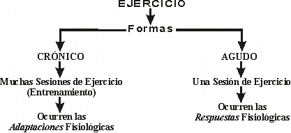 EJERCICIOS AGUDOS VERSUS EJERCICIOS CRNICOS