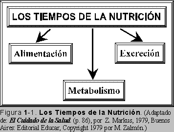 LOS TIEMPOS DE LA NUTRICIN