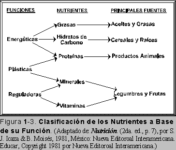 CLASIFICACIN DE LOS NUTRIENTES A BASE DE SU FUNCIN