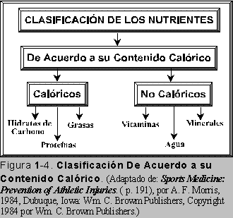 CLASIFICACIN DE LOS NUTRIENTES A BASE DE SU CONTENIDO CALRICO