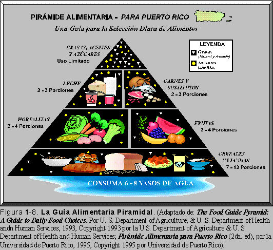 LA PIRMIDE ALIMENTARIA