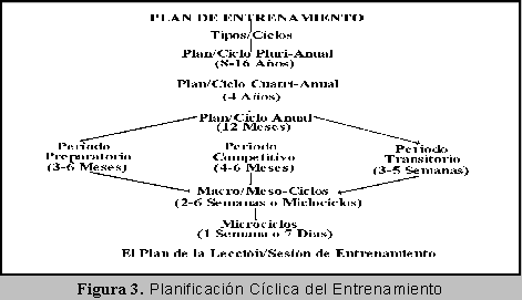 Fig. 3: Planificacin Cclica del Entrenamiento