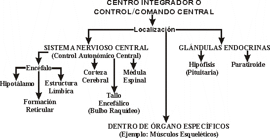 EJEMPLOS DE DIFERENTES CENTROS INTEGRADORES