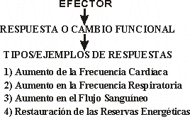 EJEMPLOS DE DIFERENTES RESPUESTAS