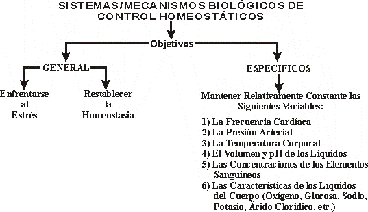 OBJETIVOS DE LOS MECANISMOS DE CONTROL