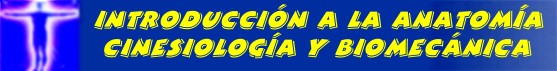 INTRODUCCIN A LA ANATOMA, CINESIOLOGA, Y BIOMECNICA