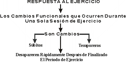 CONCEPTO DIAGRAMTICO DE RESPUESTA AL EJERCICIO