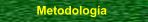 Metodolog�a