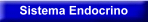Sistema Endocrino