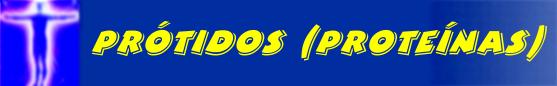 PRTIDOS (PROTENAS)