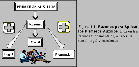 Figura 1-1: Razones para Aplicar los Primeros Auxilios