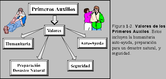 Figura 1-2: Valores de los Primeros Auxilios