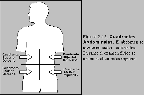Figura 2-18: Cuadrantes Abdominales