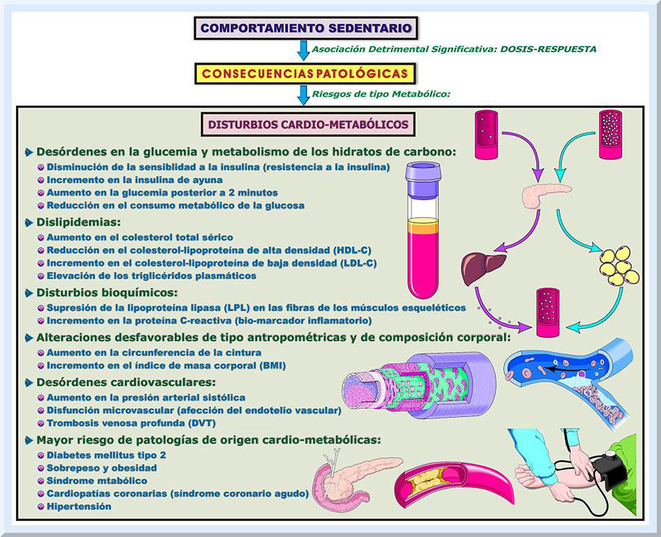 sedentarismo definicion oms pdf