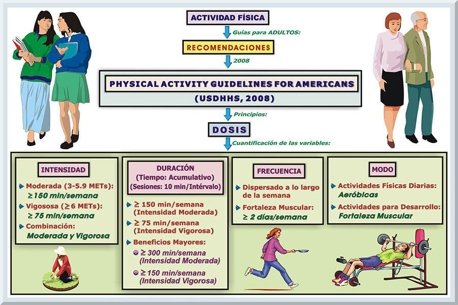 Introducción y principios de la actividad física - Vivo Sano