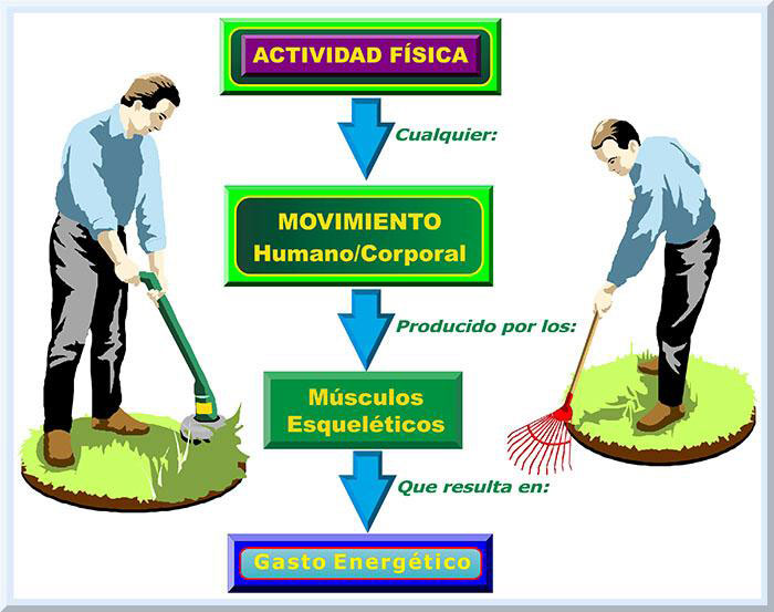 Un año después de la publicación del libro Actividad física, ejercicio y  deporte en el embarazo y posparto - Medicina Deportiva, natación  terapéutica y dolor de espalda