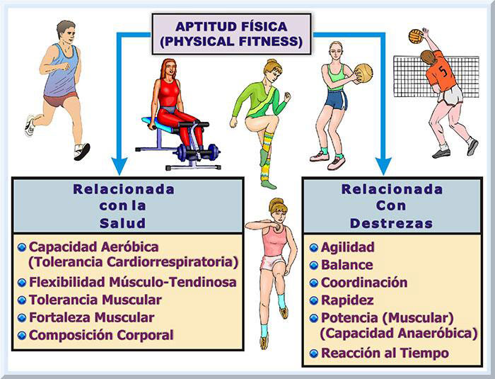 Importancia de Hacer Ejercicios Fisicos, PDF, Determinantes de la salud