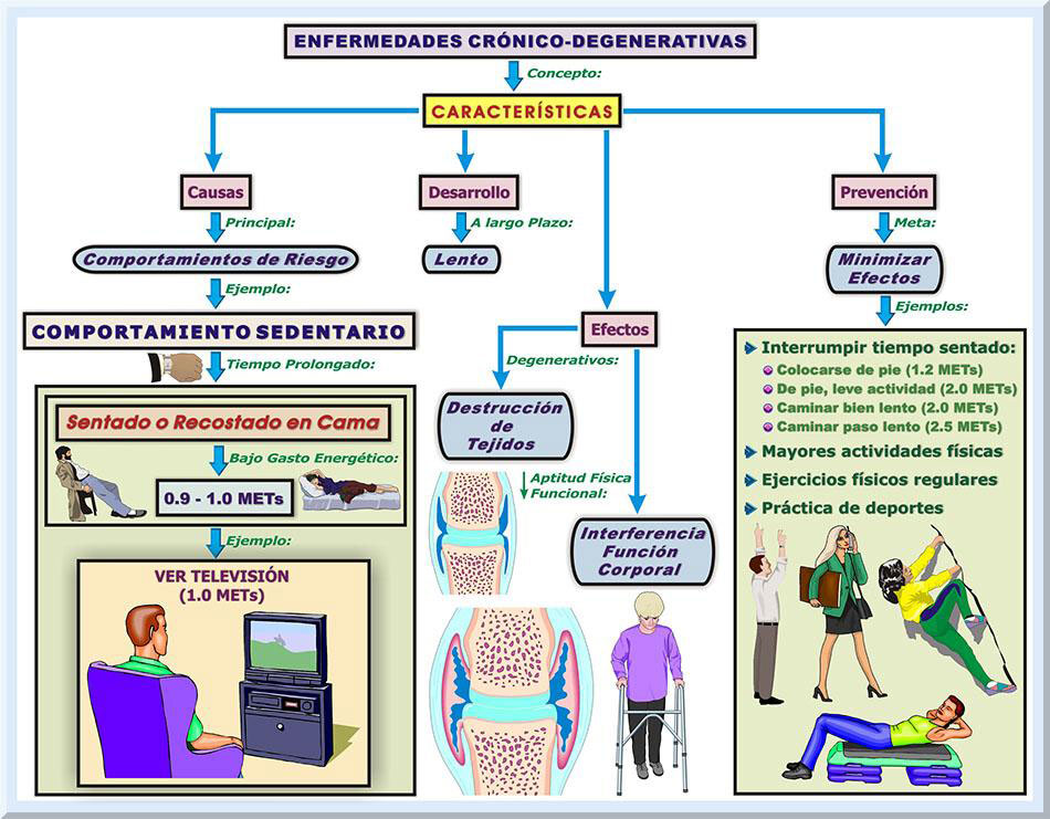 Importancia de Hacer Ejercicios Fisicos, PDF, Determinantes de la salud