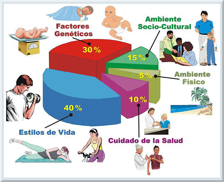 Fissac - Fisiología, salud y actividad física en LinkedIn: 🔴¿Campo o  Ciudad? ¿Cómo afecta nuestro entorno al riesgo de…