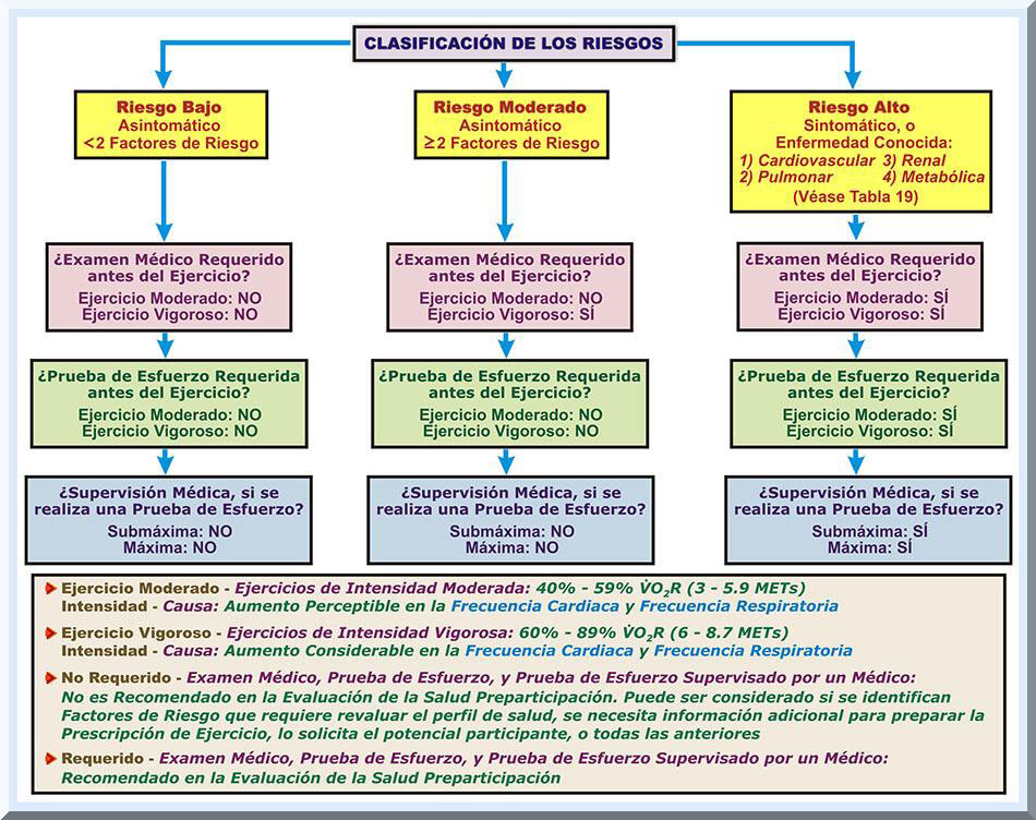 Medias de compresión en ciclistas y hemodinámica de recuperación -  Fisiología del Ejercicio